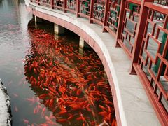 -西海子公园