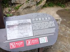 -梭布垭石林景区