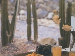 -MOJ coffee(瓯海泽雅水碓坑店)