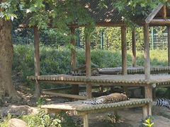 -扬州市茱萸湾风景区