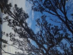 -北京西山国家森林公园