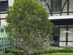 -一尺花园(安和花园店)