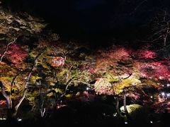 -醍醐寺