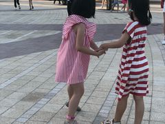 -迪士尼乐园停车场