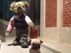 -济州岛泰迪熊博物馆