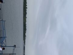 -丁香湖公园
