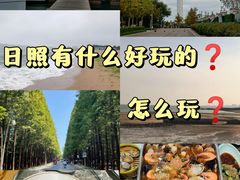 -渡海小渔村.老辈日照菜