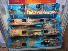 -北戴河庆山饭店·海鲜砂锅粥(北戴河黑石路店)