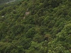 -阳台山森林公园