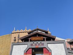 -水秀国际大剧院