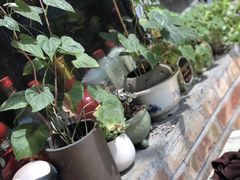 景观位-新疆狼爷烤肉(宋庄店)