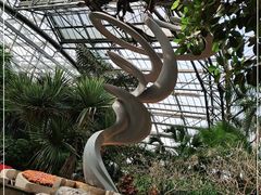 -南山植物园