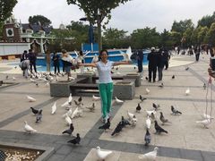 景点-鸽子窝公园