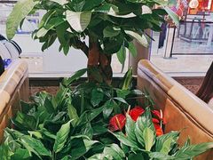 -荷花亭·湖北融合菜(十堰武商MALL店)