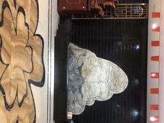 -七仙女渔港(奥邦广场店)