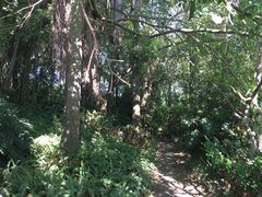 -佛山祈福仙湖酒店