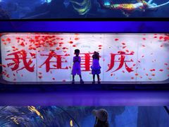 -重庆欢乐海底世界