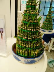 -喜喜月子(瑞虹天地店)