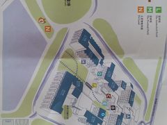 -上海崇明金茂凯悦酒店