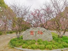 -上海海湾国家森林公园