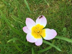 -上海滴水湖皇冠假日酒店