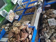 -渡海小渔村.老辈日照菜