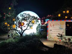 -无锡梅园公园