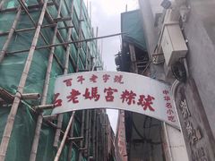 -老妈宫粽球