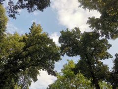 -北极阁公园