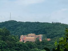 -东莞市大岭山森林公园