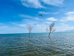 -青海湖二郎剑景区