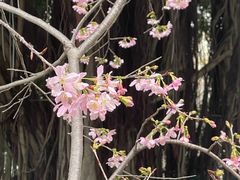 -乌山风景区