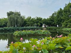 -金银湖国家城市湿地公园