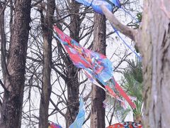 -人民公园(罗湖区)