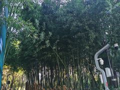 -西安市长乐公园