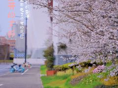 -南浦大桥长途旅游客运站