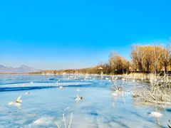 -野鸭湖国家湿地公园