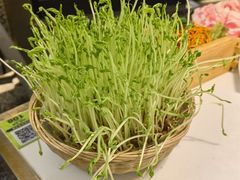 -洪氏嗨捞·猪肚鸡火锅(阳光天地店)