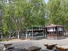 -长白岛森林公园