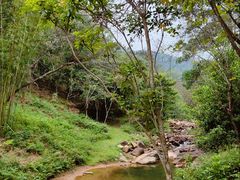 -广州白江湖森林公园