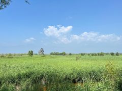 -野鸭湖国家湿地公园