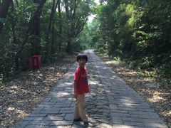 -上海佘山国家森林公园西佘山园