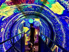 -成都梵高星空艺术馆(春熙路旗舰店)
