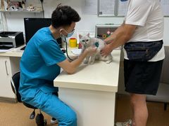 -宠颐生中康贝怡动物医院