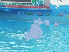 -巨鹏飞梦幻水世界