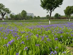 -汉长安城未央宫国家考古遗址公园