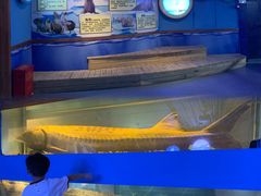 -左海海底世界