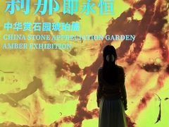 -中华赏石园