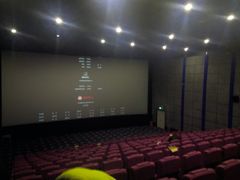 -保定金棕榈先天下国际影城(LUXE)