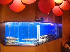 水产区-望蓉城·古法酸菜鱼(世纪汇店)